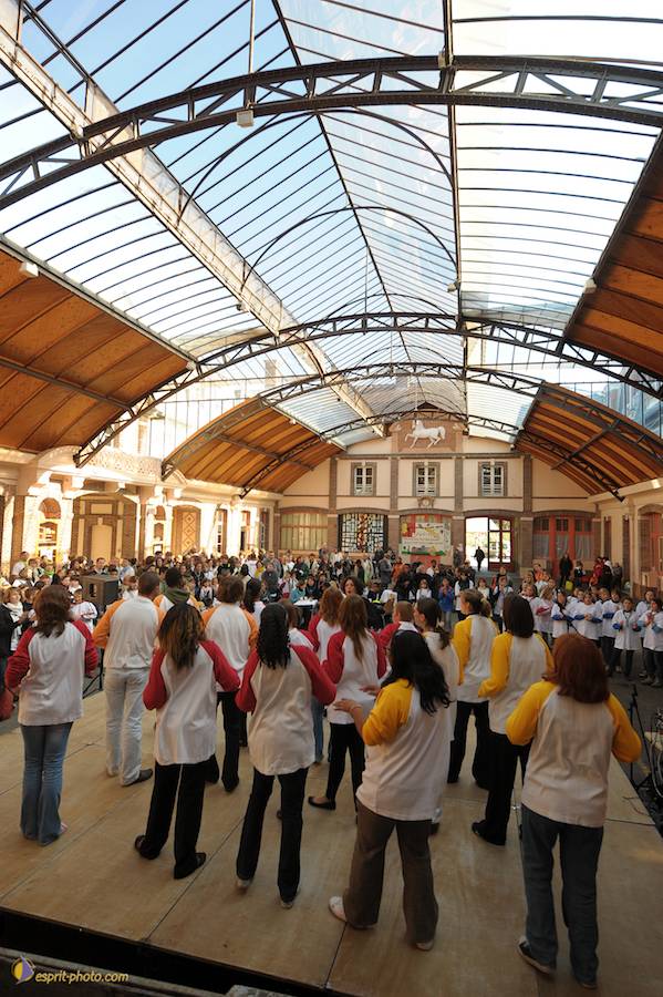 Nom de l'image : D30083736_1_(c)Norbert-JUNG — Description :